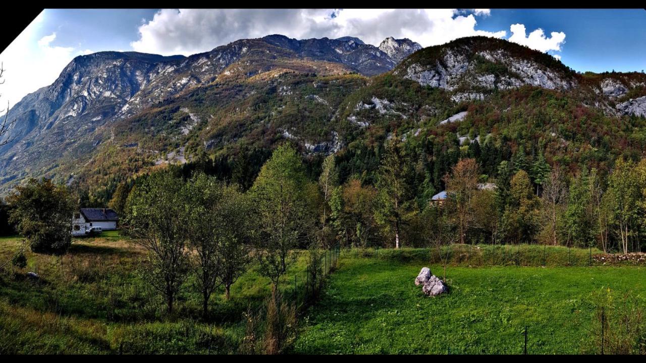 Bovec Home At Three Samoyeds Soca Ngoại thất bức ảnh