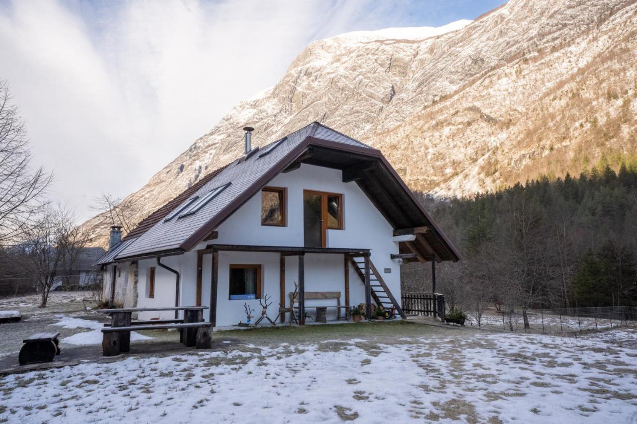 Bovec Home At Three Samoyeds Soca Ngoại thất bức ảnh