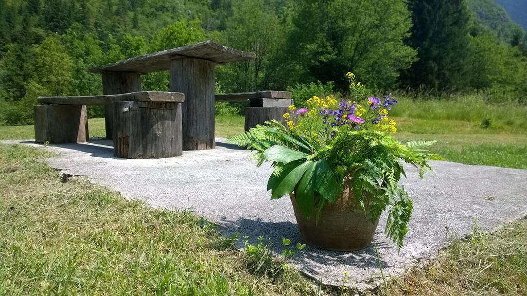 Bovec Home At Three Samoyeds Soca Ngoại thất bức ảnh