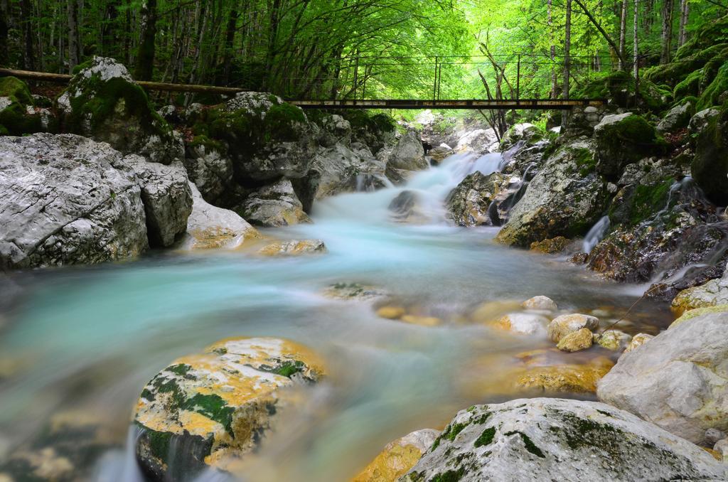 Bovec Home At Three Samoyeds Soca Ngoại thất bức ảnh