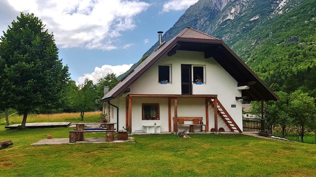 Bovec Home At Three Samoyeds Soca Ngoại thất bức ảnh